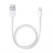 apple-cavo-da-lightning-a-usb-5-m-1.jpg