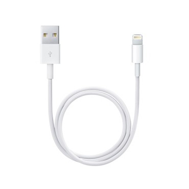 Cavo Lightning Apple USB (0,5M)